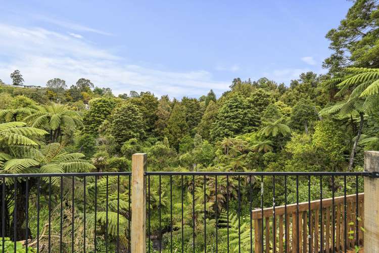 174 Huatoki Street Upper Vogeltown_21