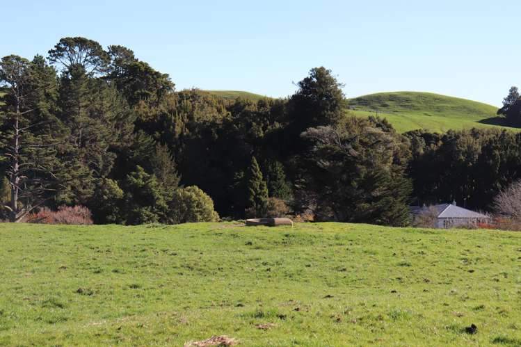 1141 Waingaro Road Glen Massey_6