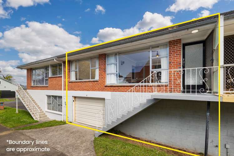 2B Douglas Avenue Mount Albert_11