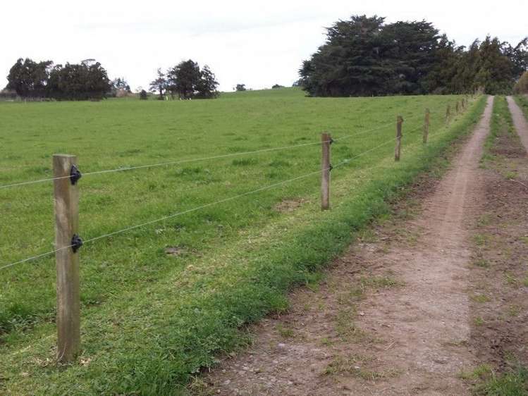 1102 Mangorei Road Mangorei_16