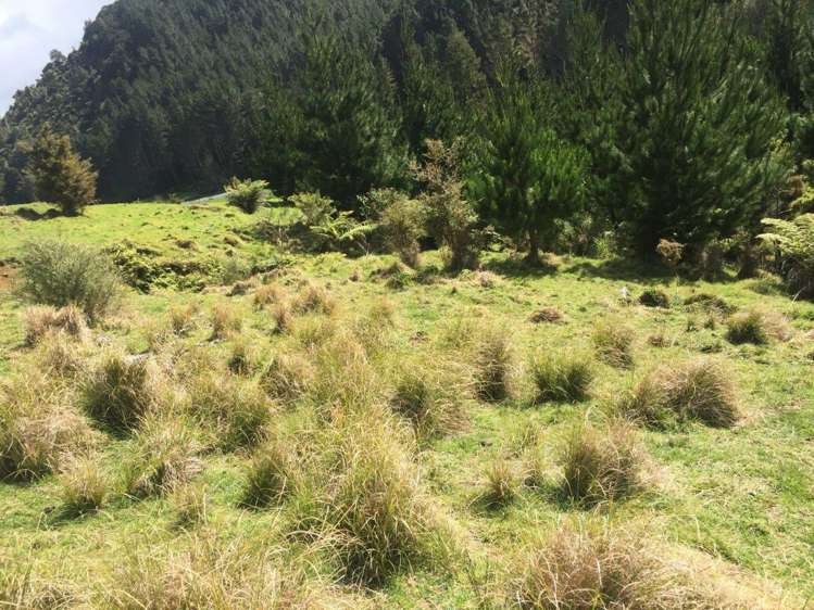 326 Ahuroa Valley Road Makarau_14