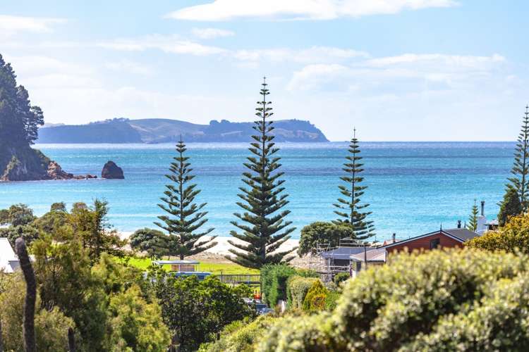 232 Russell Bruce Place Onemana_19