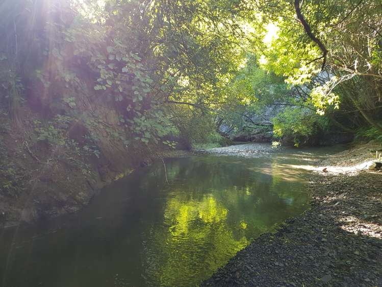 199 Waituna Road Pahiatua_25