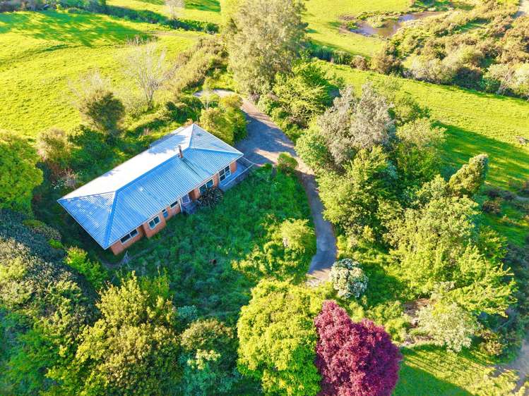 74B Willoughby Road Katikati_22