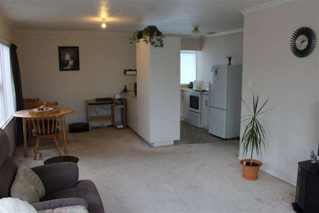 49b Bath Street Levin_2