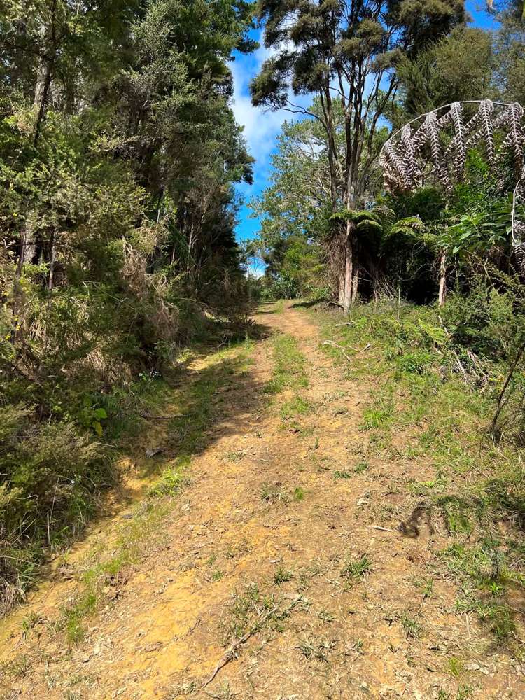 477 Pupuke Mangapa Road Kaeo_13