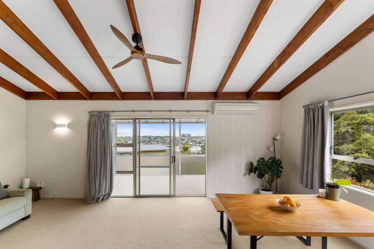 54 Chamberlain Street Tahunanui_7