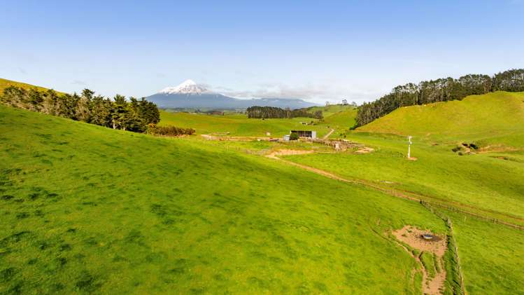 318 Kupara Road Tariki_12
