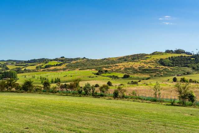 Lot 2 1124 Kaiwaka-Mangawhai Road Mangawhai_3