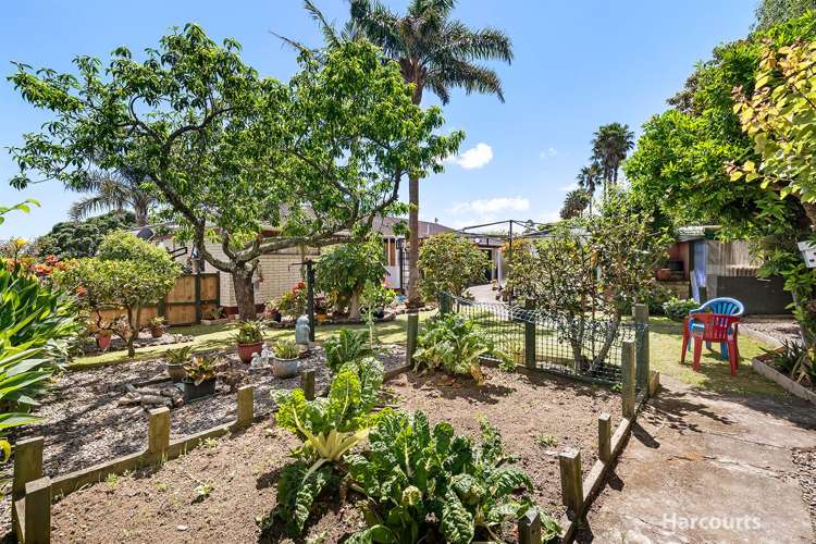 80 Torkar Road Clarks Beach_15