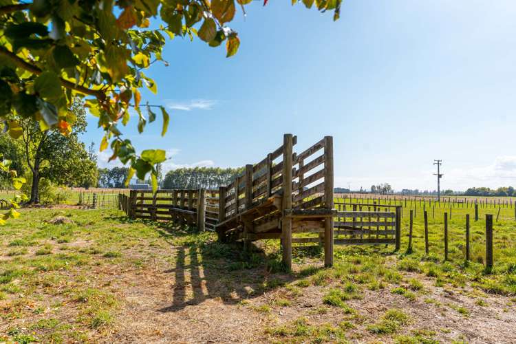 175 Papawai Road Greytown_20