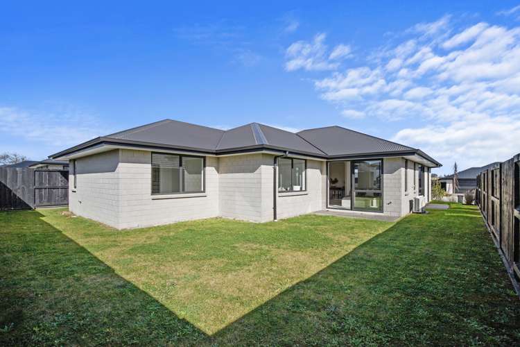 18 Harp Street Morrinsville_12