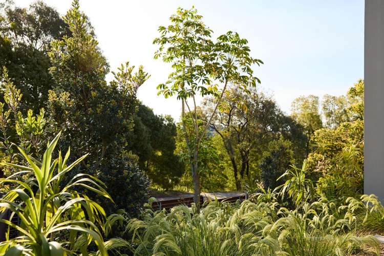 5 Burbury Ridge Havelock North_29