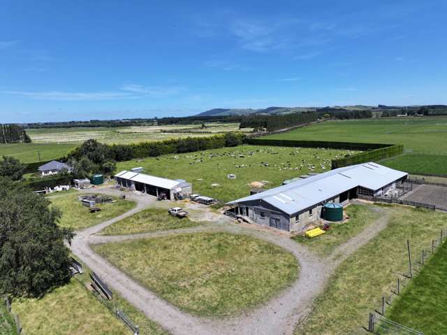 389 Mckenzie Road Browns_1