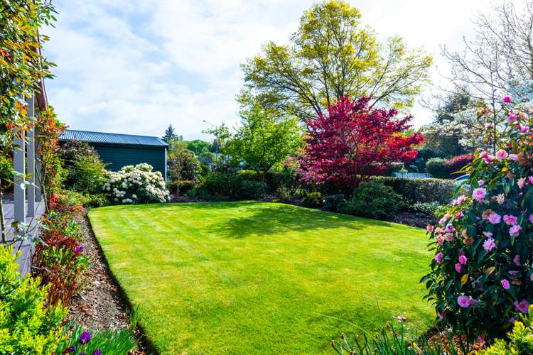 212 Talbot Street Geraldine_22