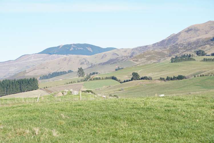 5645 West Coast Road Springfield_16