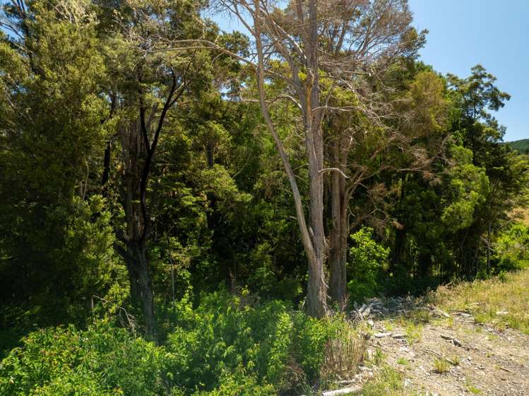 240 Teapot Valley Road Brightwater_38