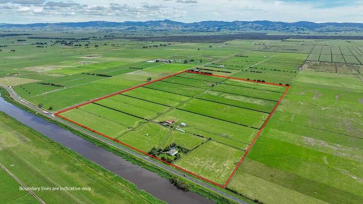 The farm house on the 35ha farm on Kaihere Road is about a century old. Photo / Supplied