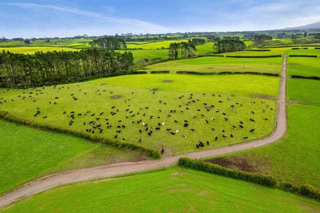 358 Opunake Road Cardiff_3