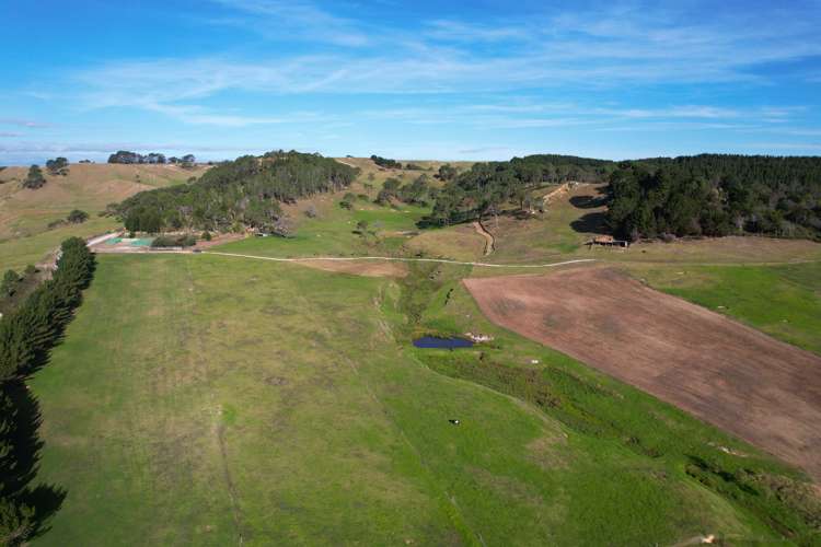 Babylon Coast Road Dargaville_8