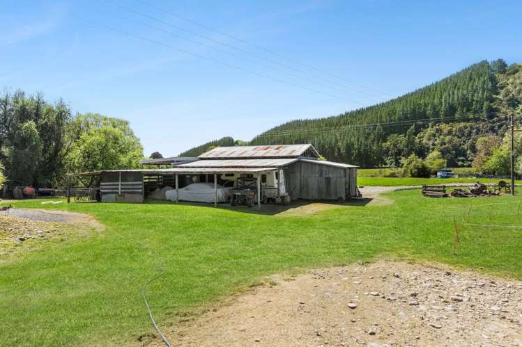 848 Dovedale Road Dovedale_16