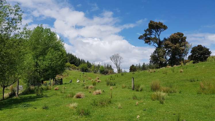 29a Reg Cox Drive Hokitika_12