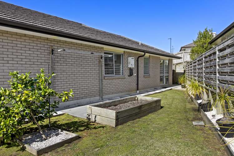 16 Jamie Lane Warkworth_10