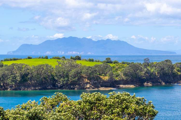 6 Kowhai Terrace Leigh_23