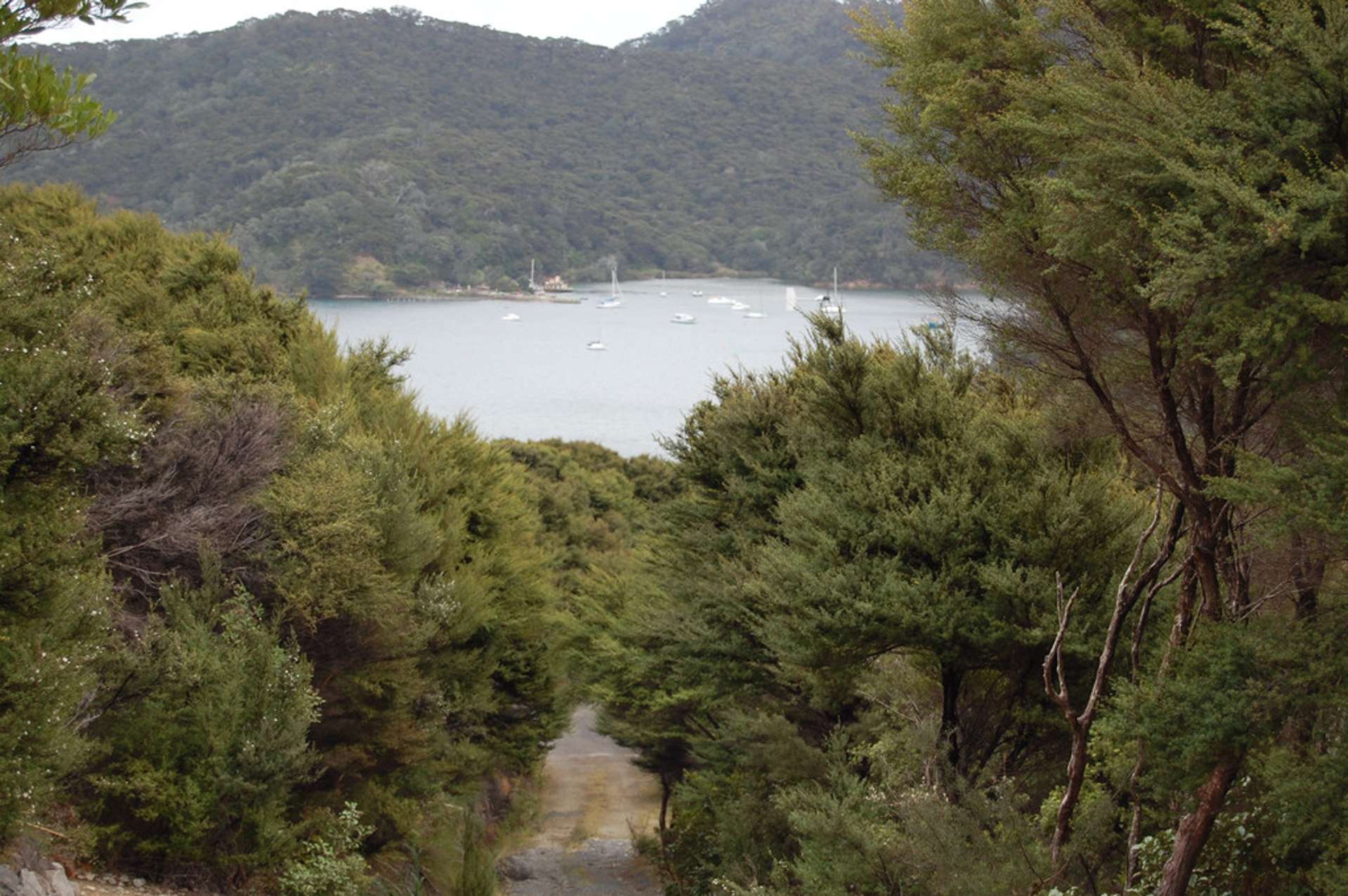 13 Harpoon Hill Great Barrier Island (Aotea Island)_0