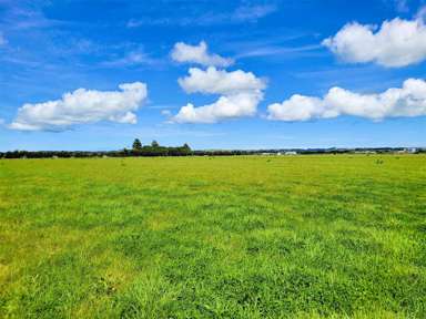 Tramline Road_4