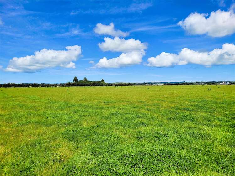 Tramline Road Ruawai_4