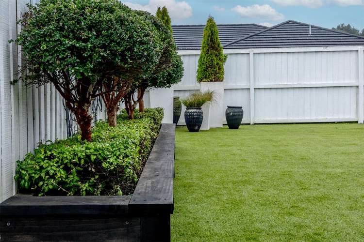 8 Higgins Place Paroa_27