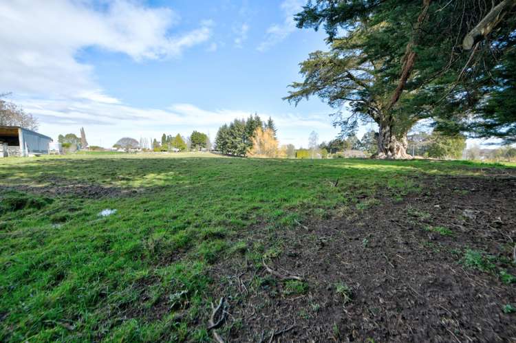 Braudigam Road East Tapanui_18