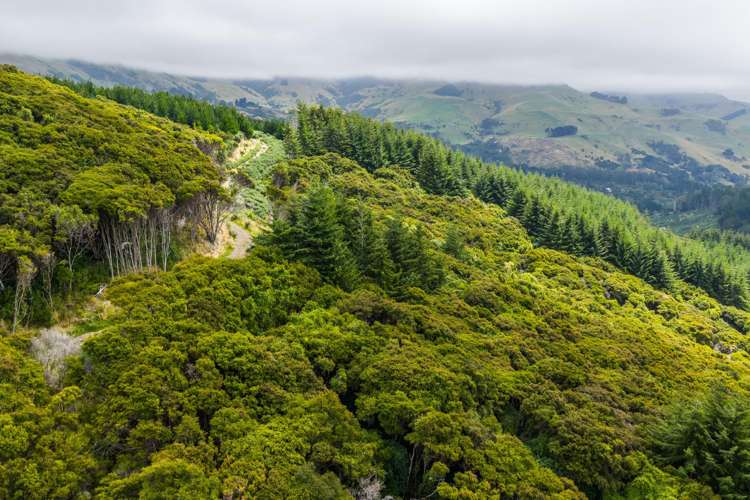 226 Middle Road Pigeon Bay_16