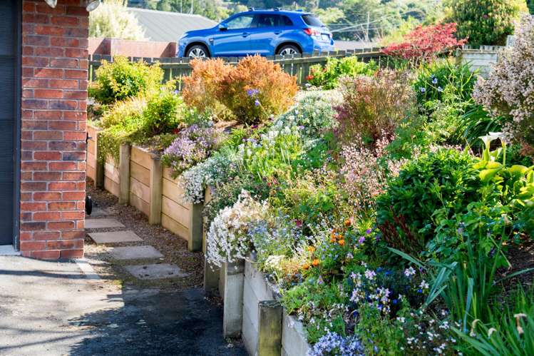 13 Campbells Road Pine Hill_19