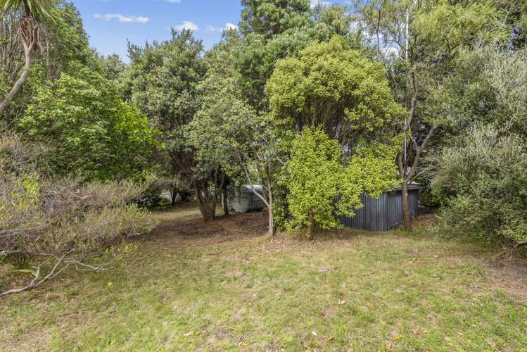 53 Queens Road Waikanae Beach_8