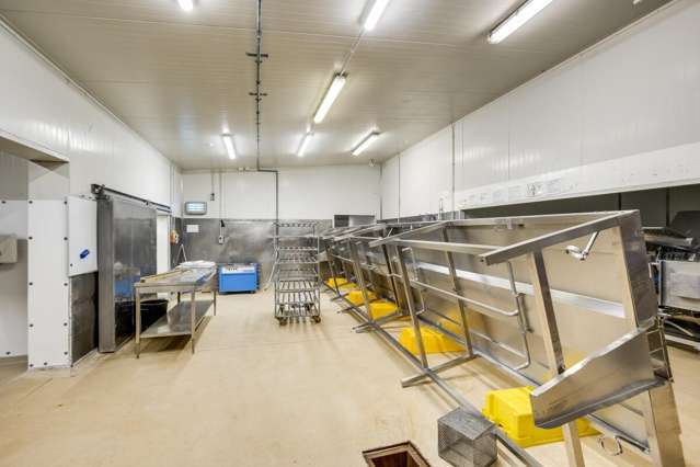 54 Pandora Road Ahuriri_4