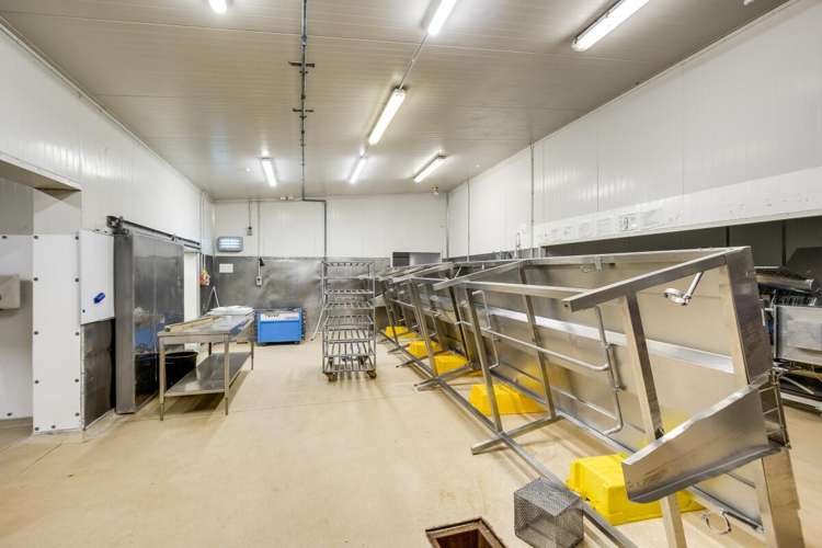 54 Pandora Road Ahuriri_4