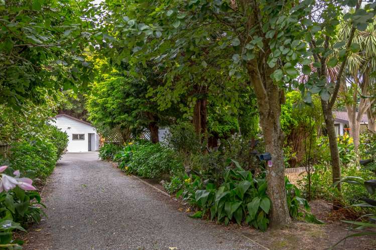 236 Murphys Line Featherston_15