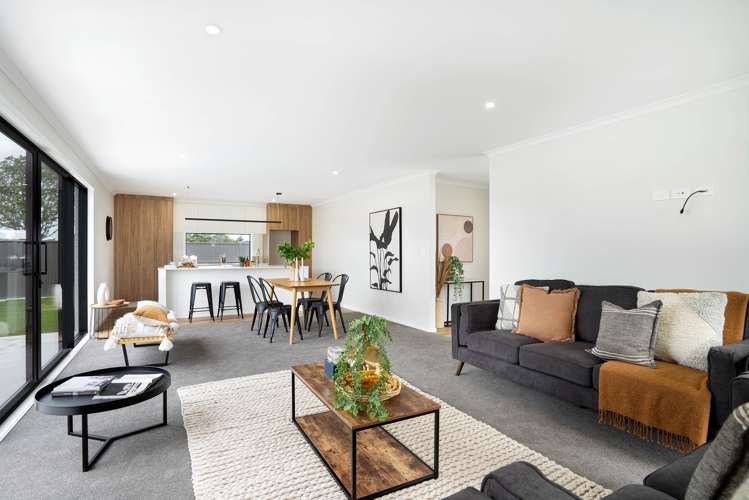 3 Nathan Lane Masterton_6