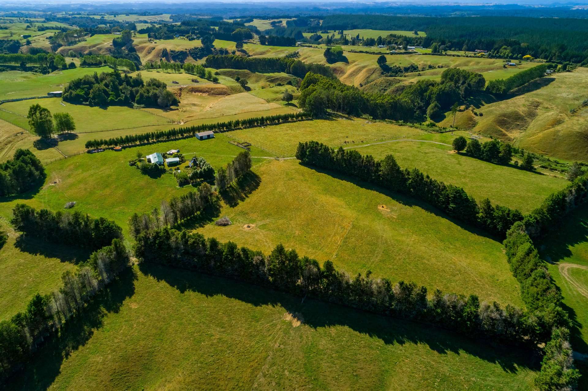 1798 Te Matai Road Te Ranga_0