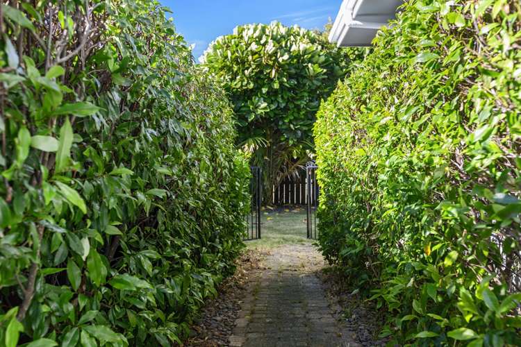 111 Links Avenue Mount Maunganui_12