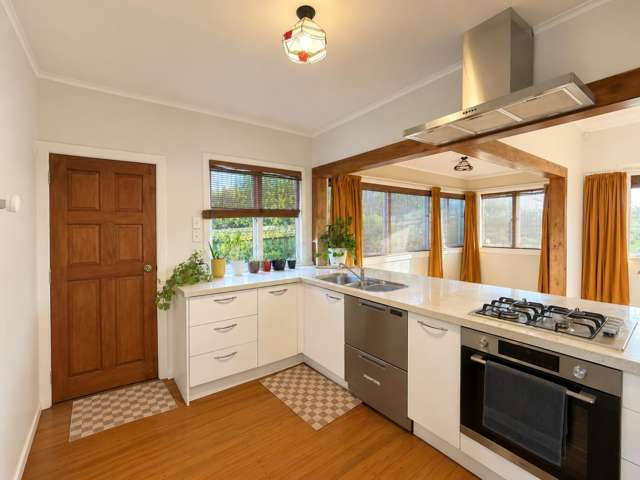 225 Mount Albert Road Wesley_1