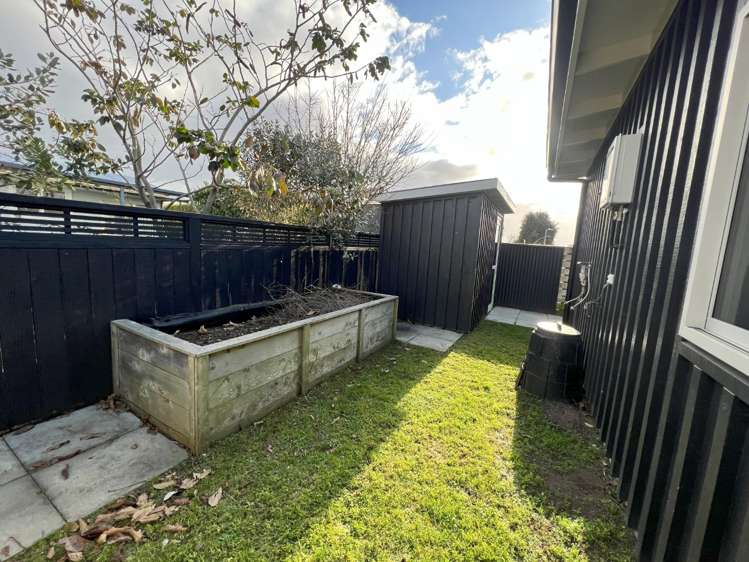 4a Farm Street Mount Maunganui_13