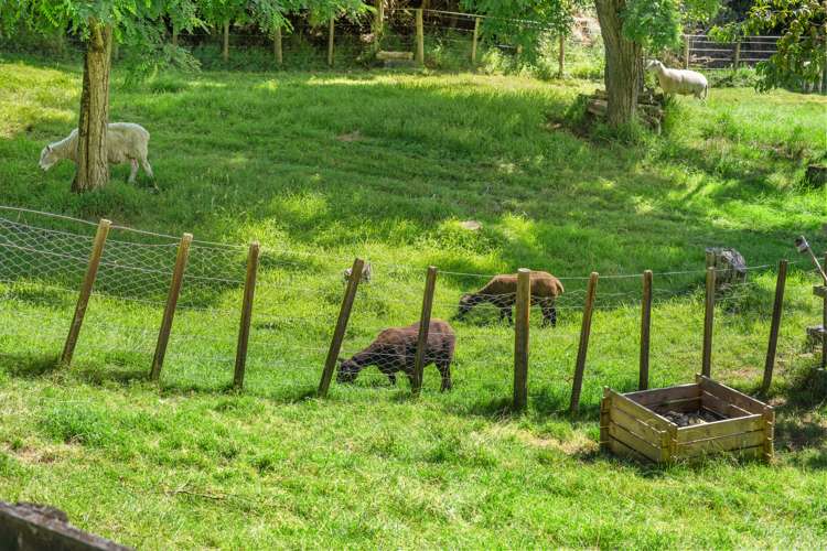 1 Paratu Road Richmond Downs_39