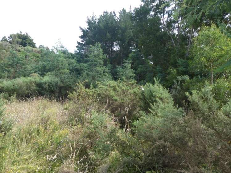 Keogans Road Hokitika_14