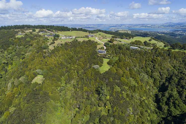 453 Mount Tiger Road Whareora_22