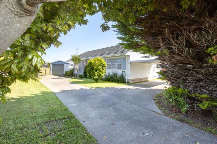 33 Norfolk Street Tamatea_12