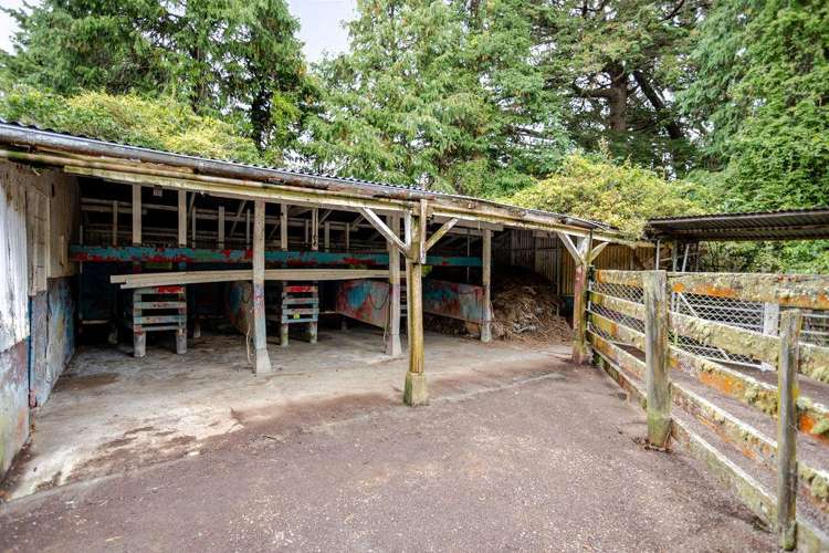 406 Top Grass Road Dannevirke_19