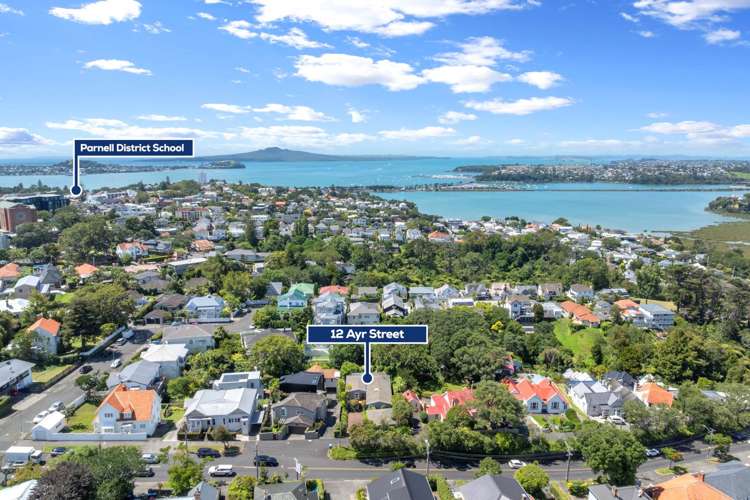 12 Ayr Street Parnell_29